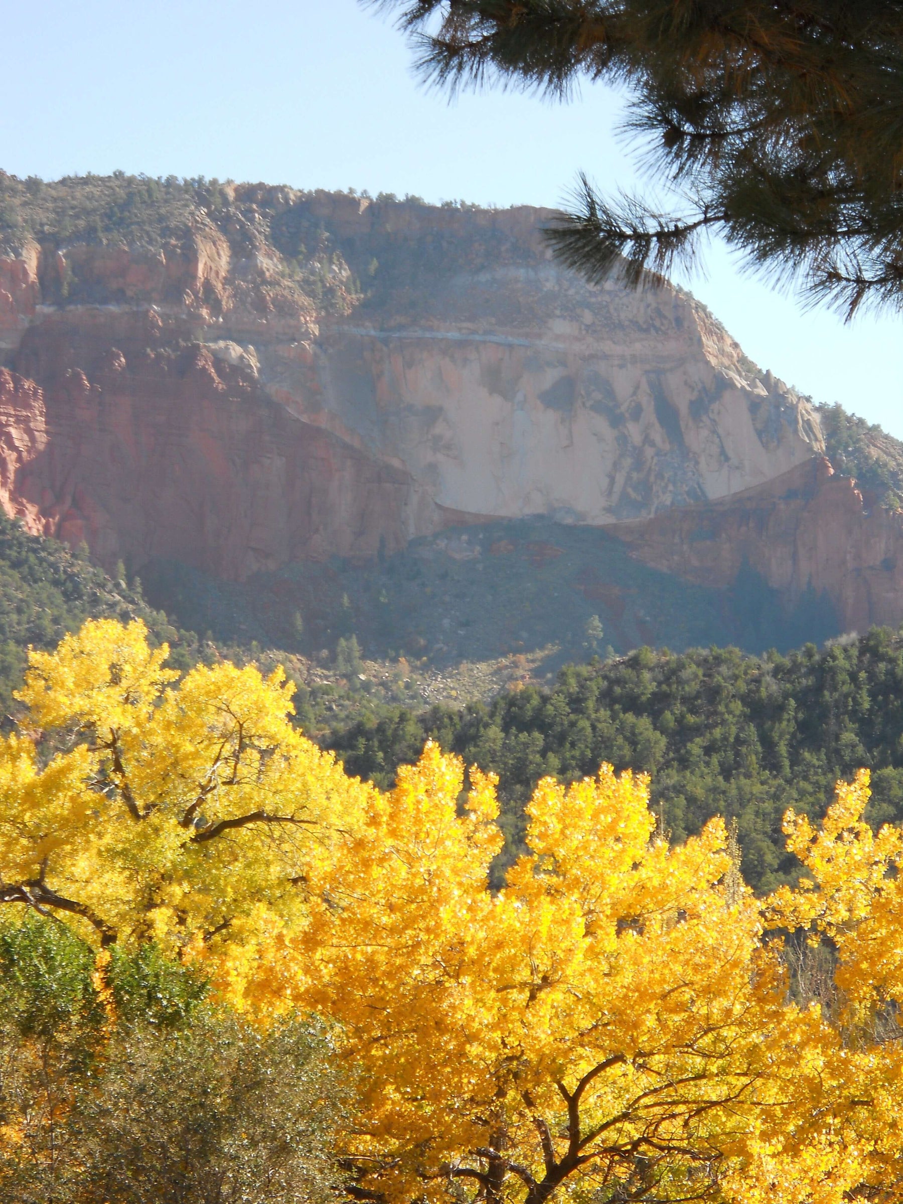 Scenic autumn landscape with golden trees and a rocky mountain backdrop.