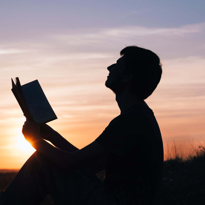 Person reading a book at sunset in a tranquil landscape.