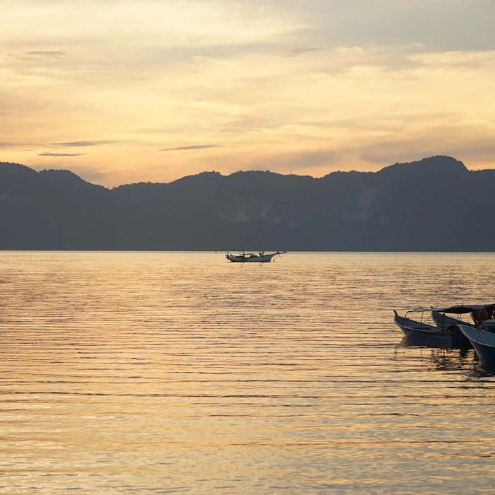 Serene coastal Mexican village at sunset with boats on calm water, reflecting the parable of the Mexican fisherman and the businessman.